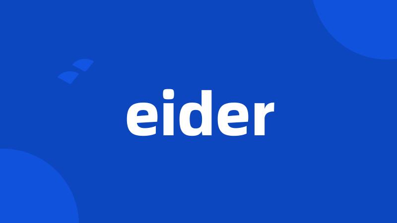 eider