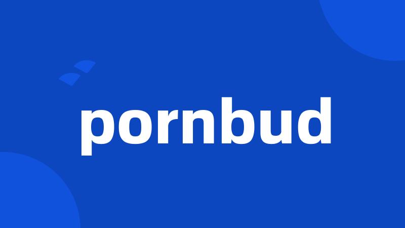 pornbud