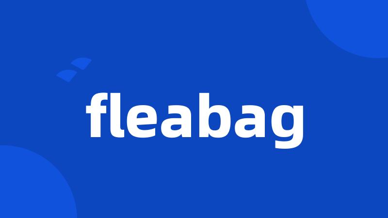 fleabag