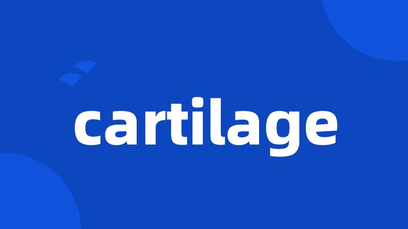 cartilage