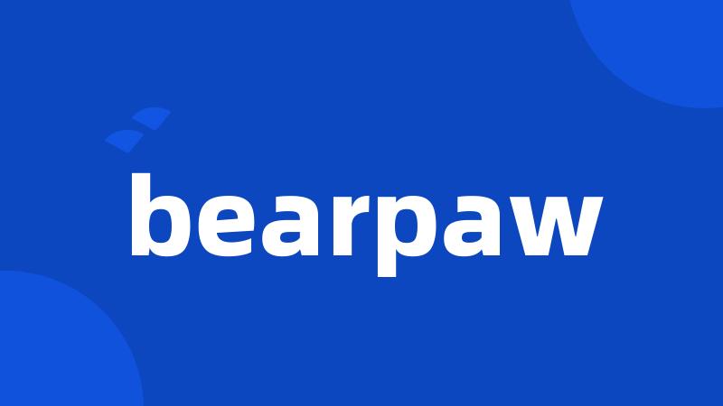 bearpaw