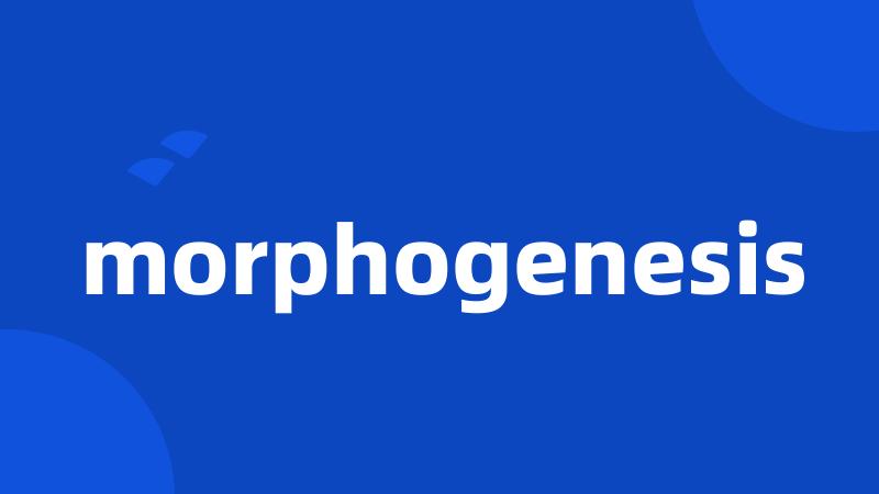 morphogenesis