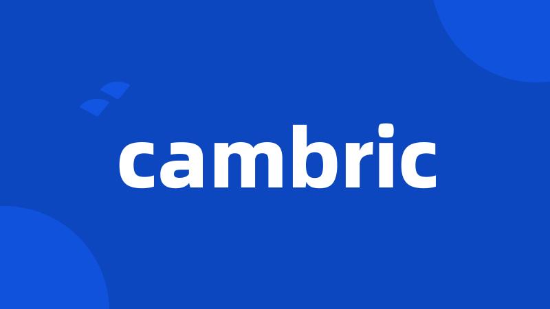 cambric