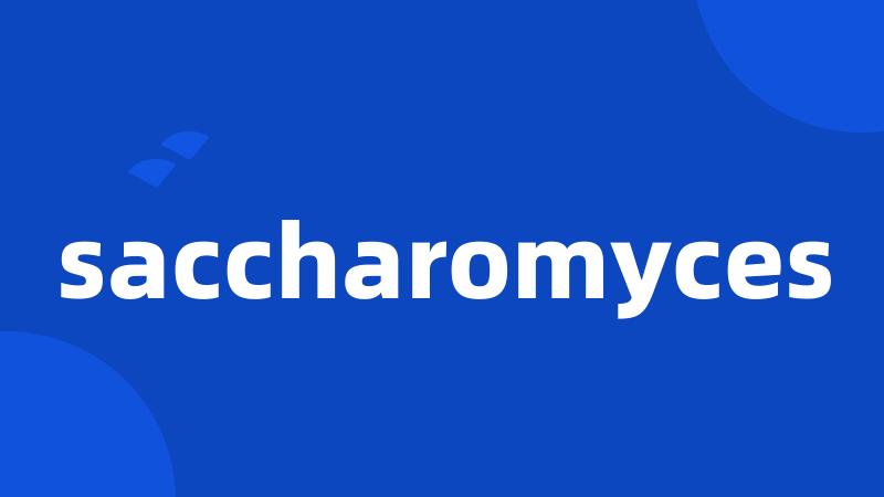 saccharomyces