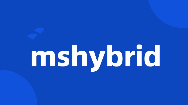 mshybrid