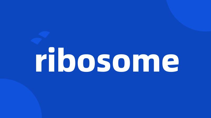 ribosome