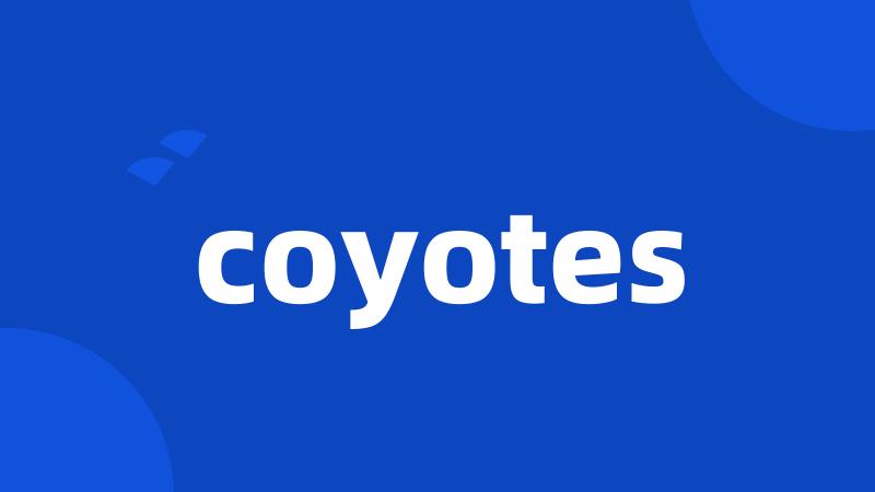 coyotes