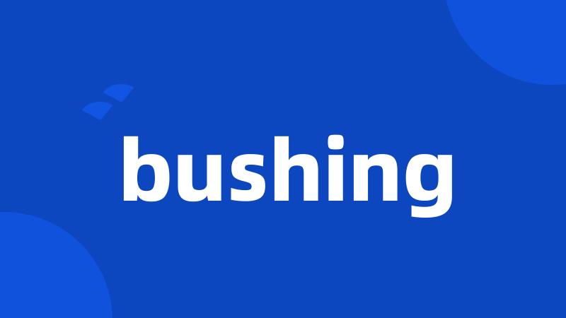 bushing