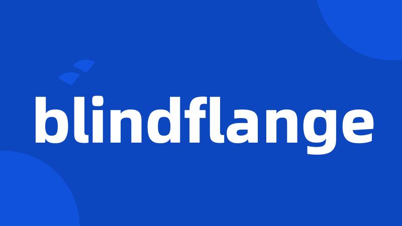 blindflange