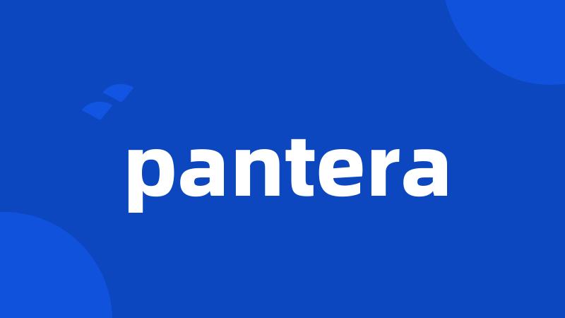 pantera