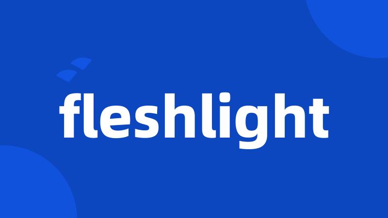 fleshlight