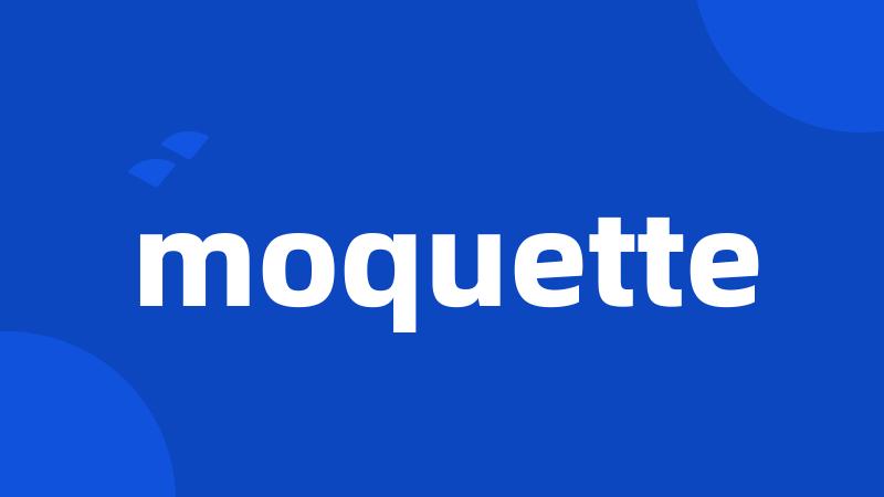 moquette