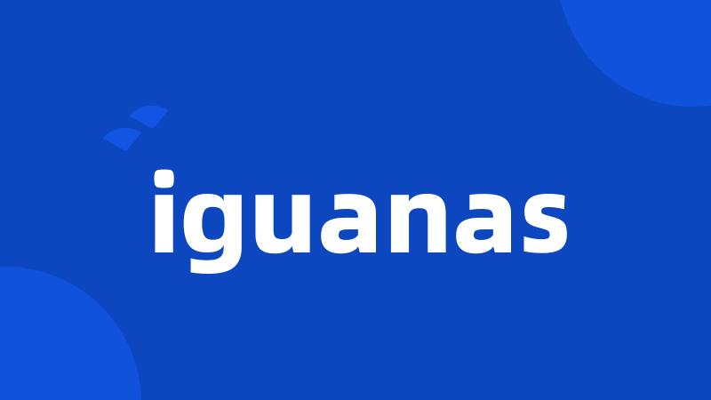 iguanas