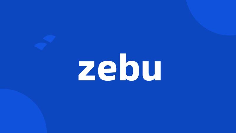 zebu