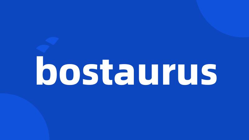 bostaurus