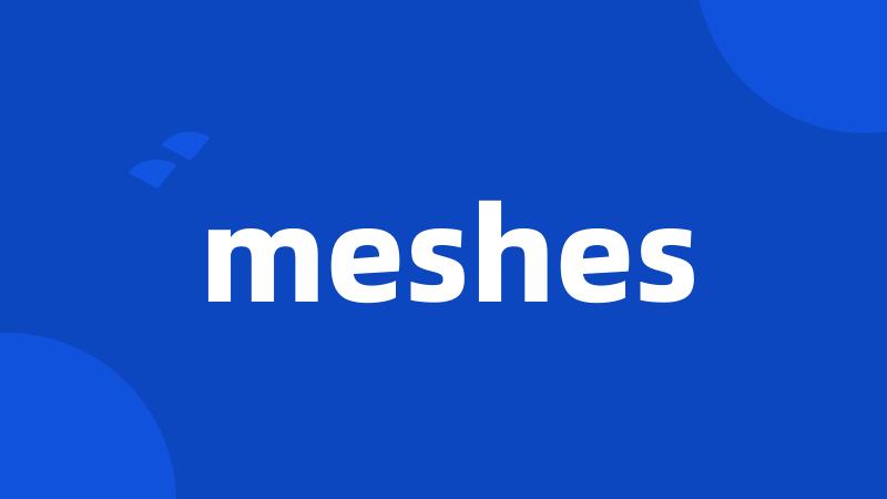 meshes