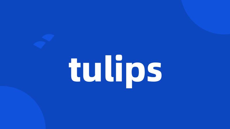 tulips