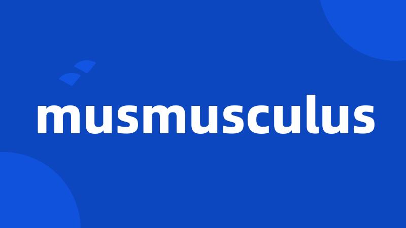 musmusculus