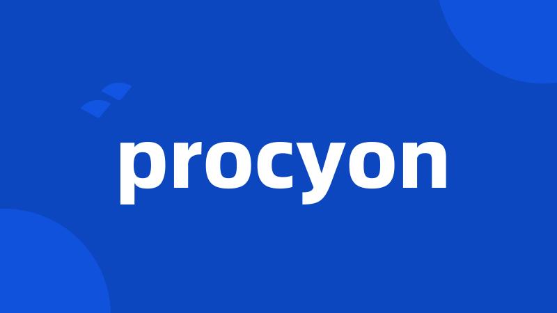 procyon