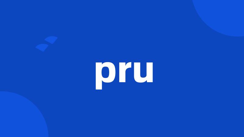 pru