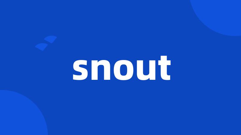 snout