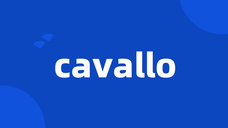 cavallo