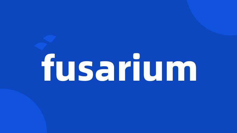 fusarium