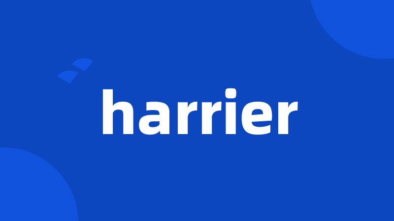 harrier