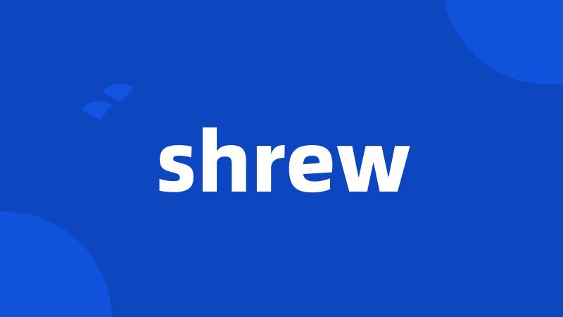 shrew