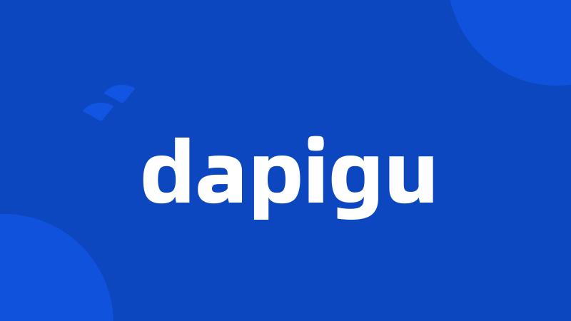 dapigu