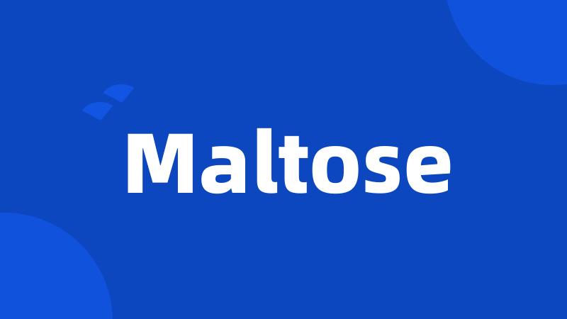 Maltose