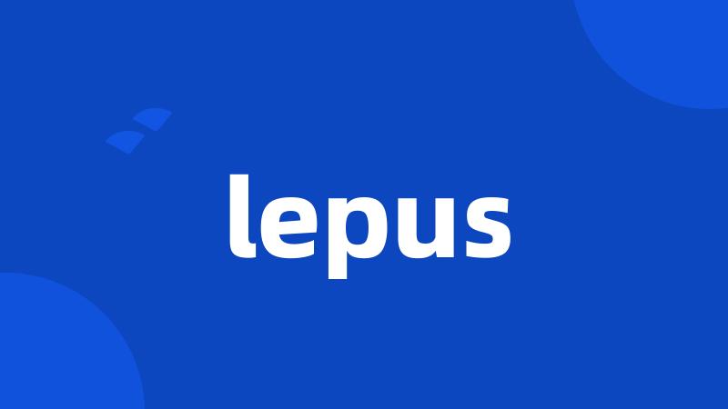 lepus