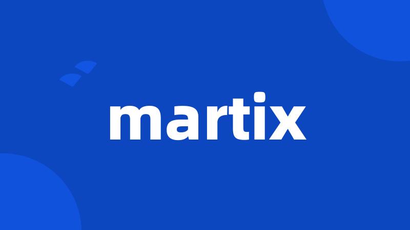 martix