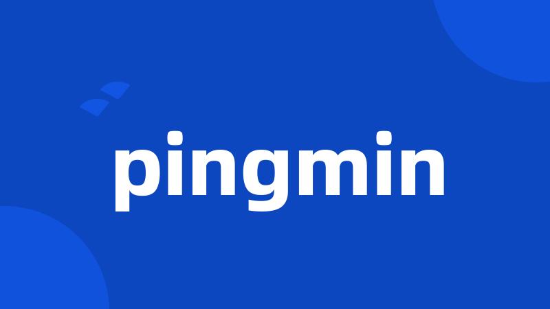 pingmin