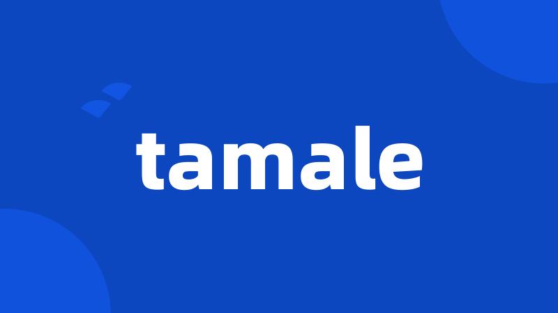 tamale