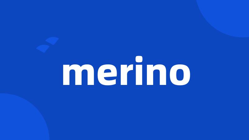 merino