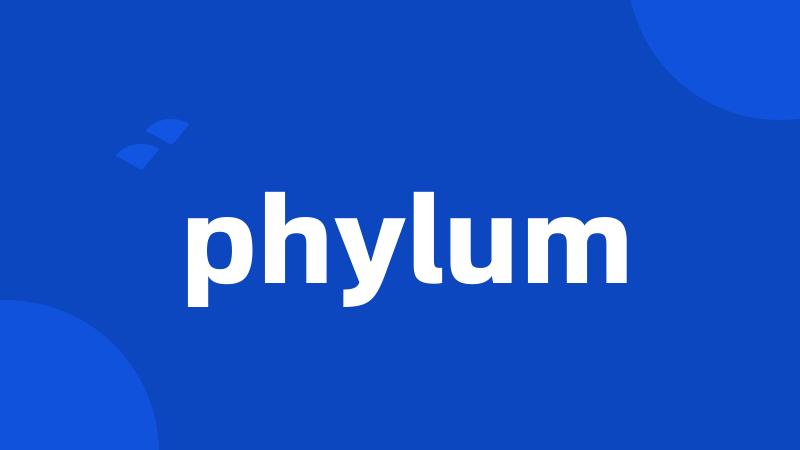 phylum