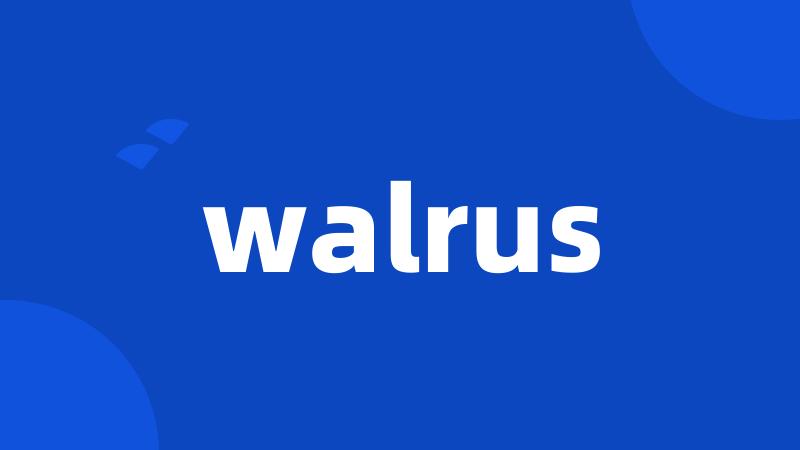 walrus