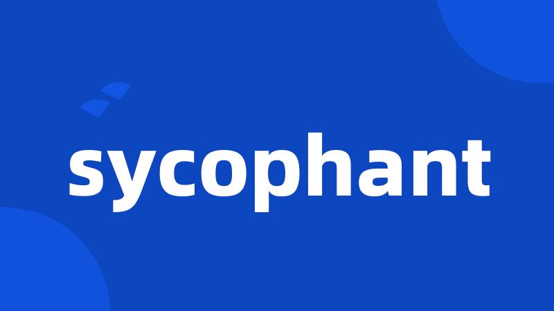 sycophant