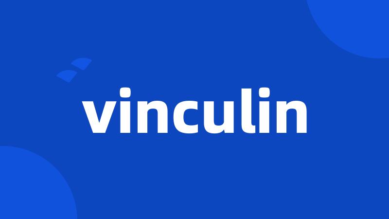 vinculin