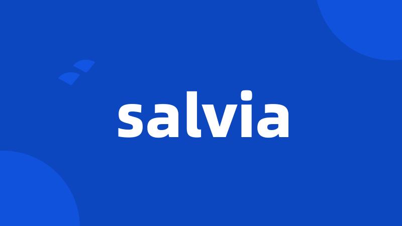 salvia