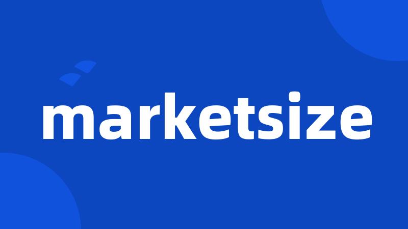 marketsize