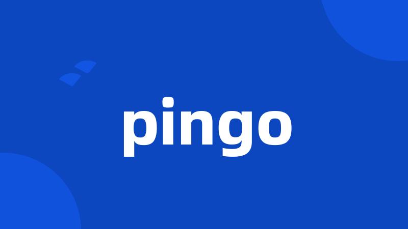 pingo