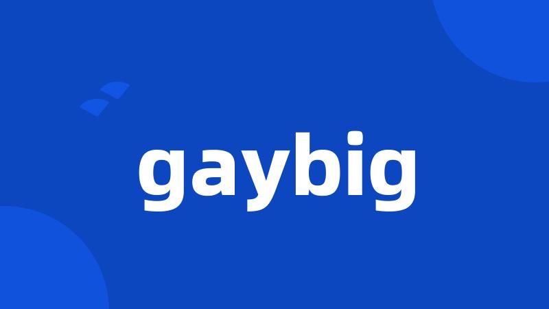 gaybig