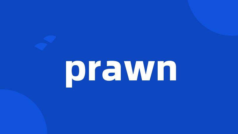 prawn