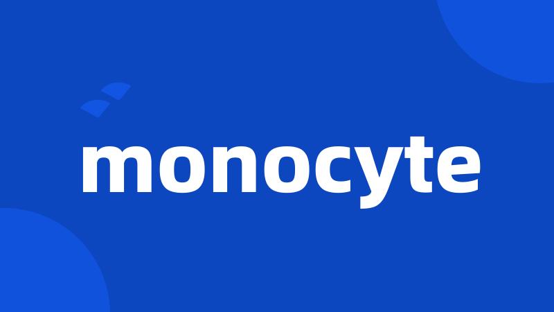 monocyte