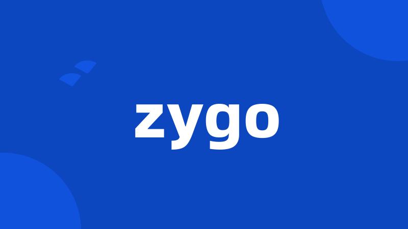 zygo