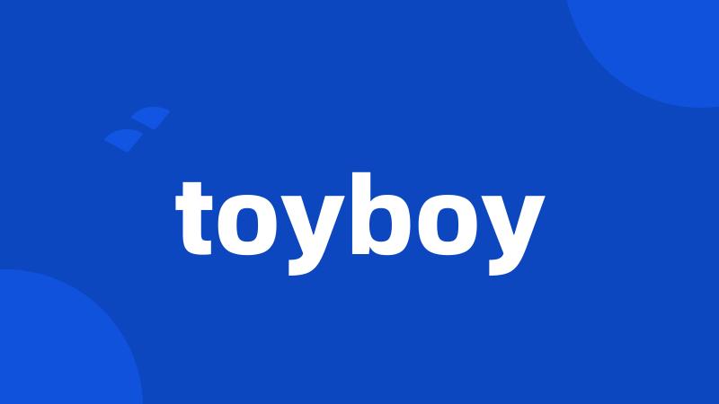 toyboy