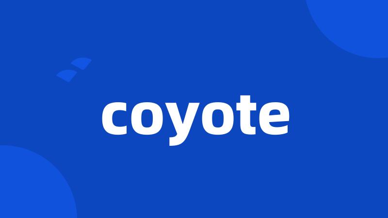 coyote