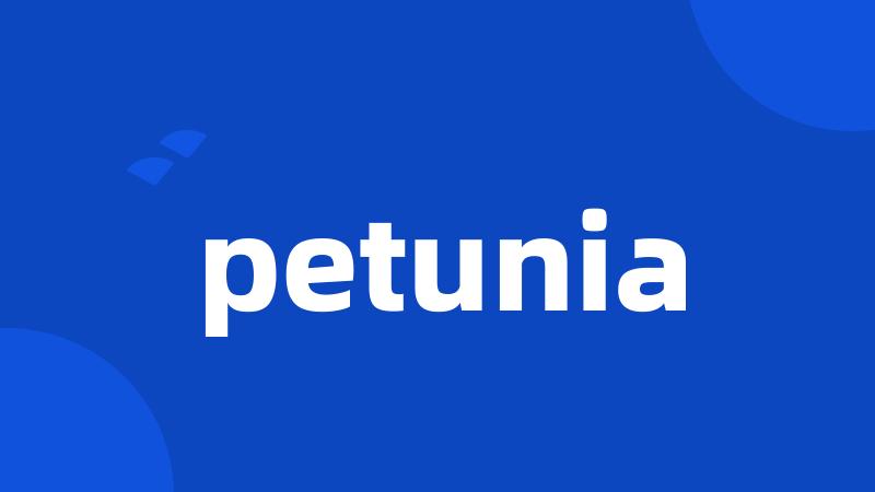 petunia